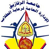 الدورى الداخلى