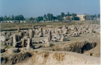 Excavations of Tell Basta and Kufur Nigm
