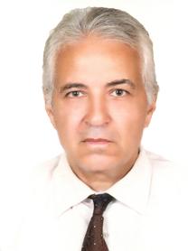 يسرى السيد يوسف جوده