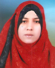 م/ عواطف لطفى محمد السيد