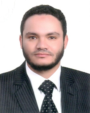 السيد عبدالستار محمد السيد
