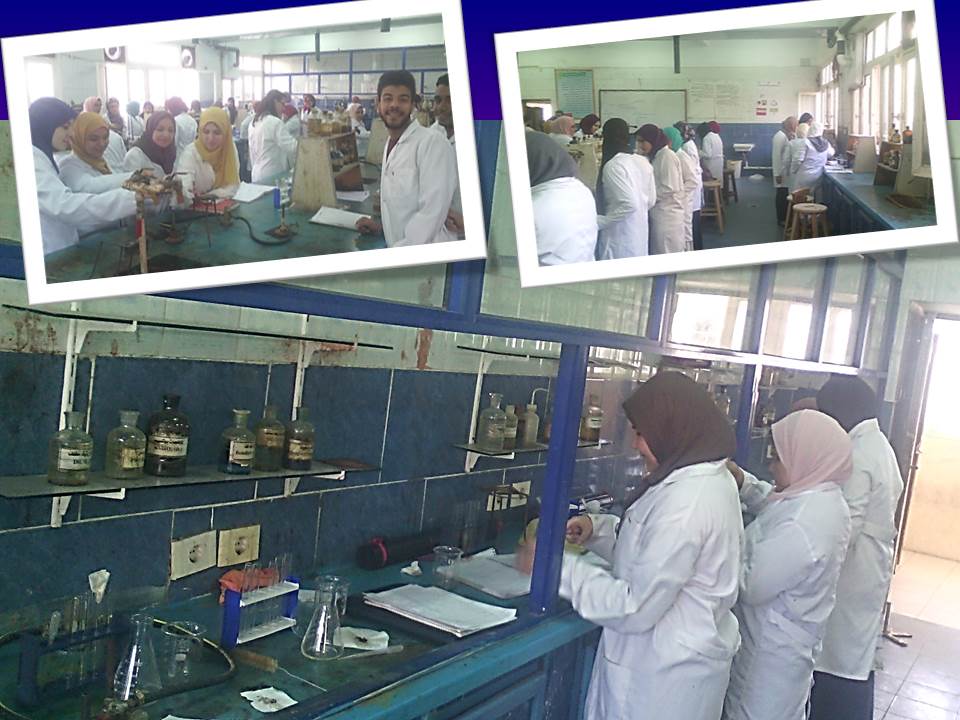 معمل الكيمياء العضوية بالقسم