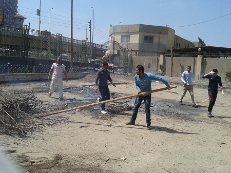 The family of Scouts
